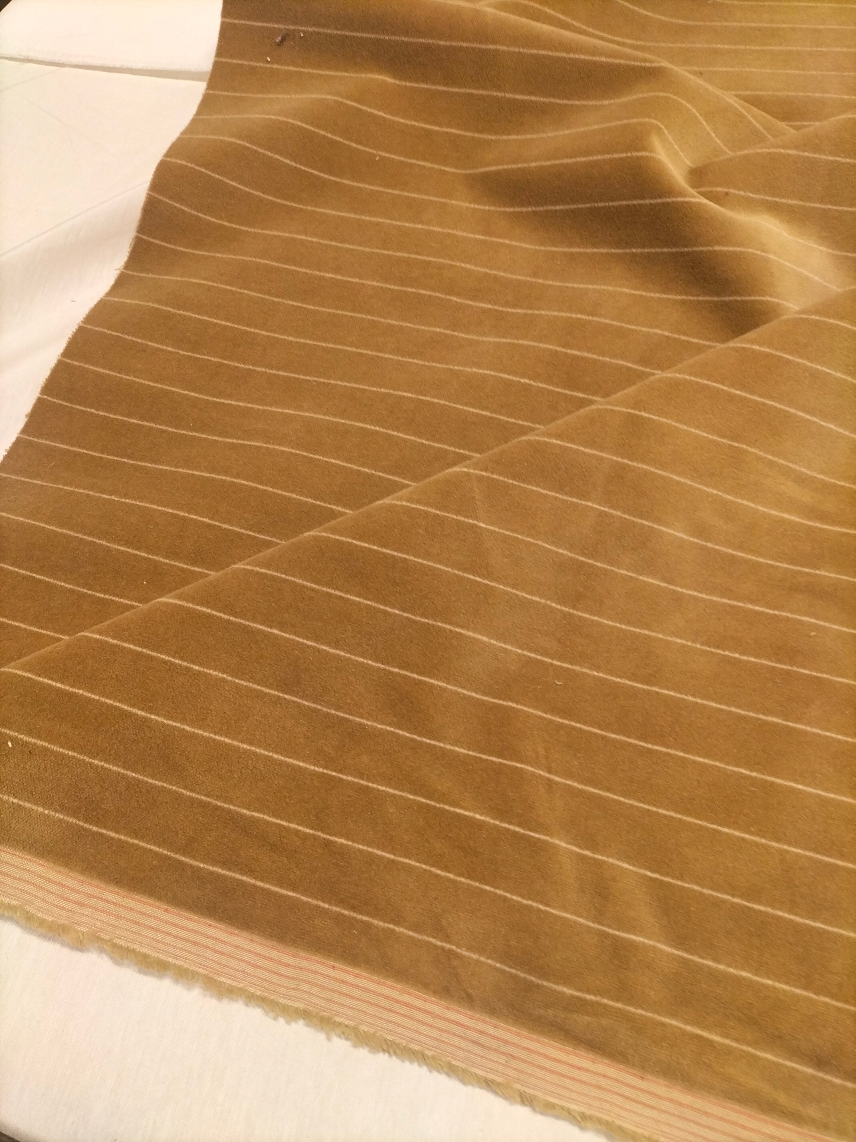 Pregiato velluto color beige a righe by Enzo degli Angiuoni