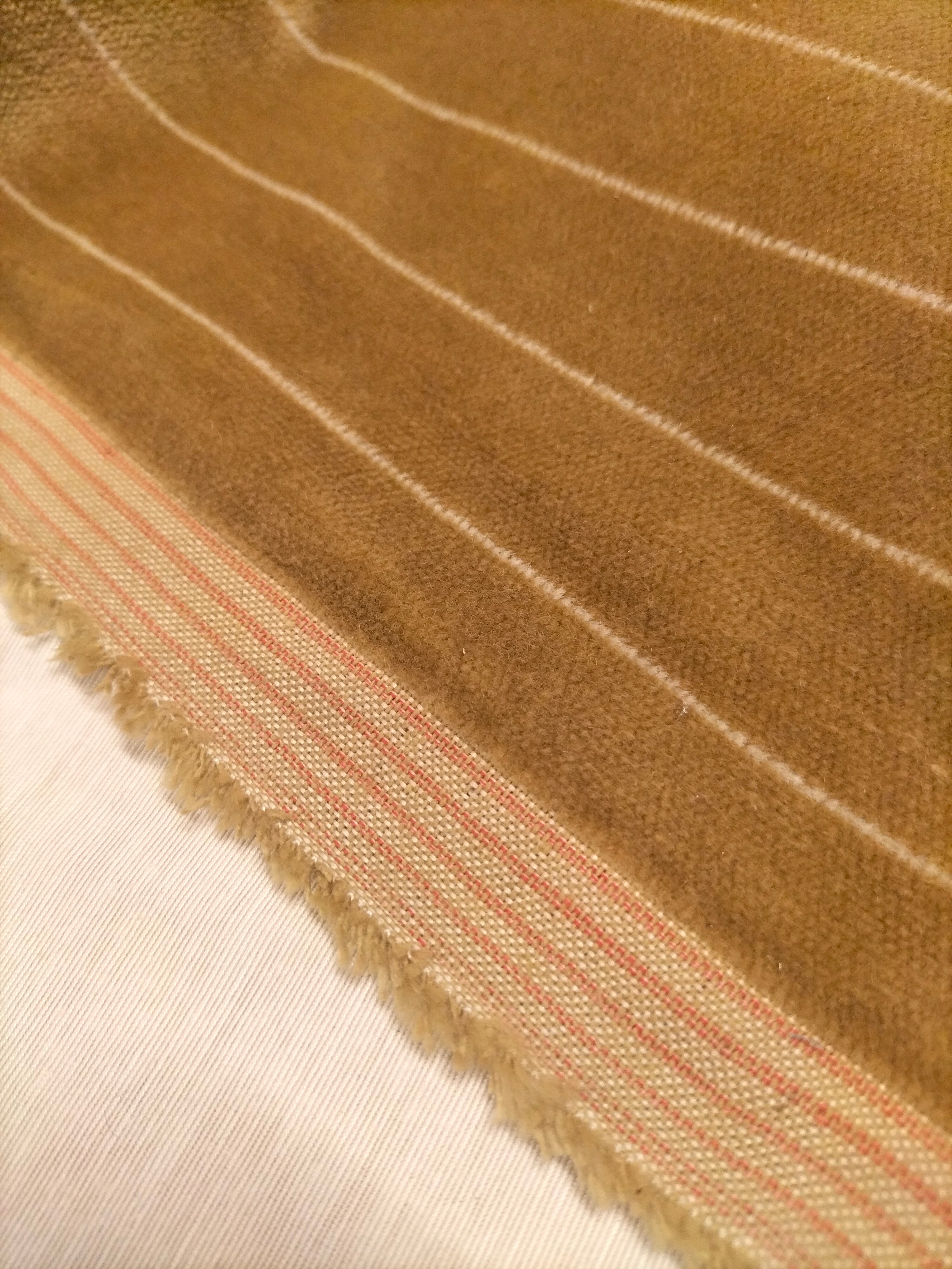 Pregiato velluto color beige a righe by Enzo degli Angiuoni