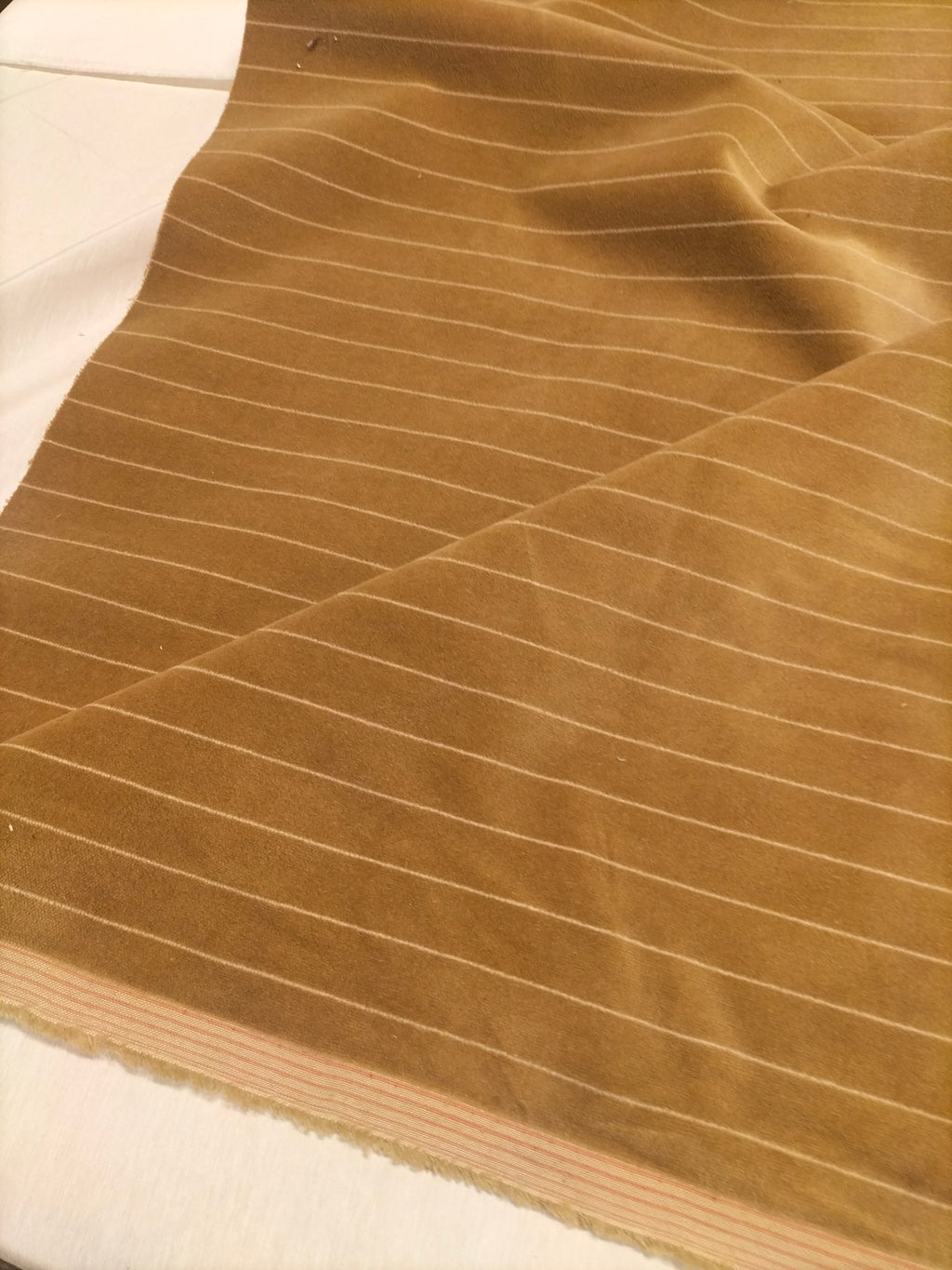 Pregiato velluto color beige a righe by Enzo degli Angiuoni