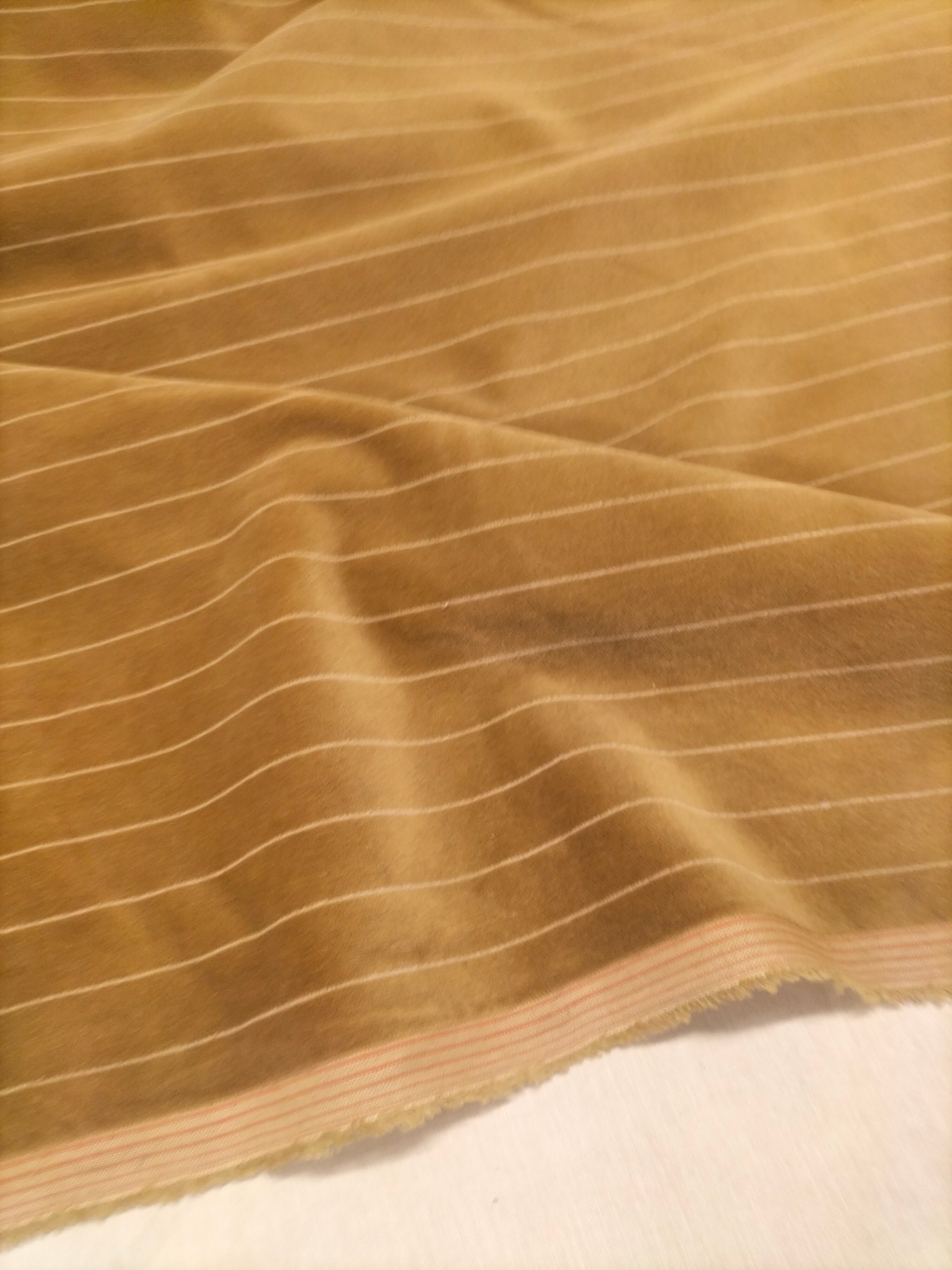 Pregiato velluto color beige a righe by Enzo degli Angiuoni