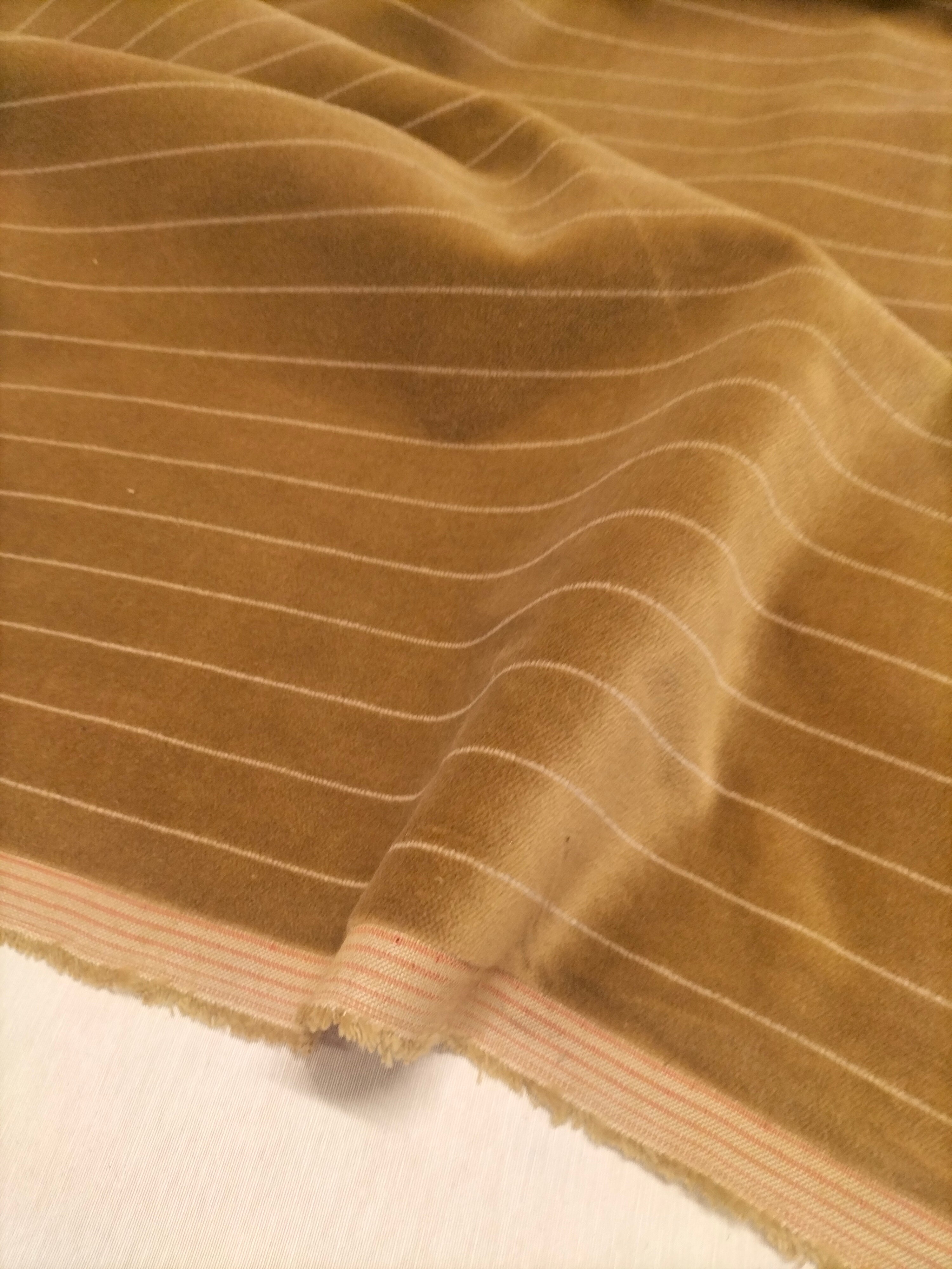 Pregiato velluto color beige a righe by Enzo degli Angiuoni