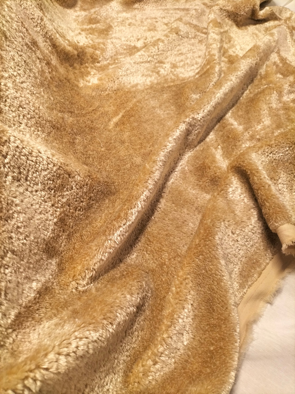 Pregiato velluto color beige by Enzo degli Angiuoni