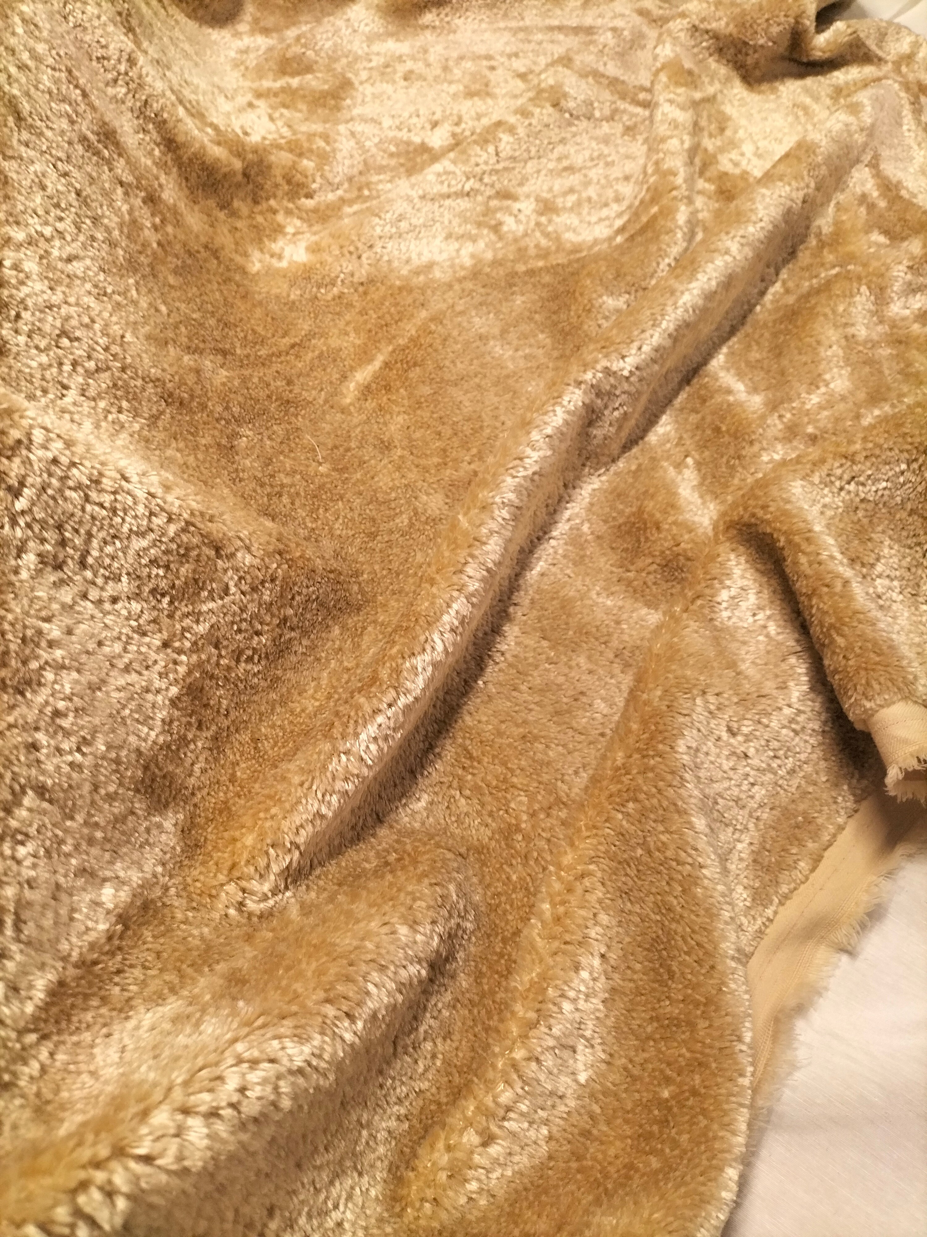 Pregiato velluto color beige by Enzo degli Angiuoni