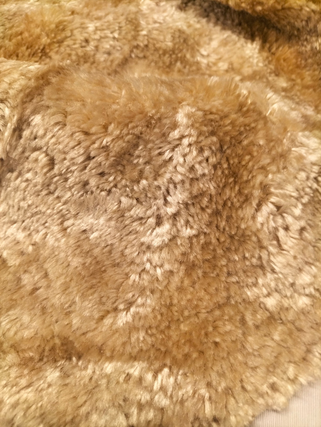 Pregiato velluto color beige by Enzo degli Angiuoni